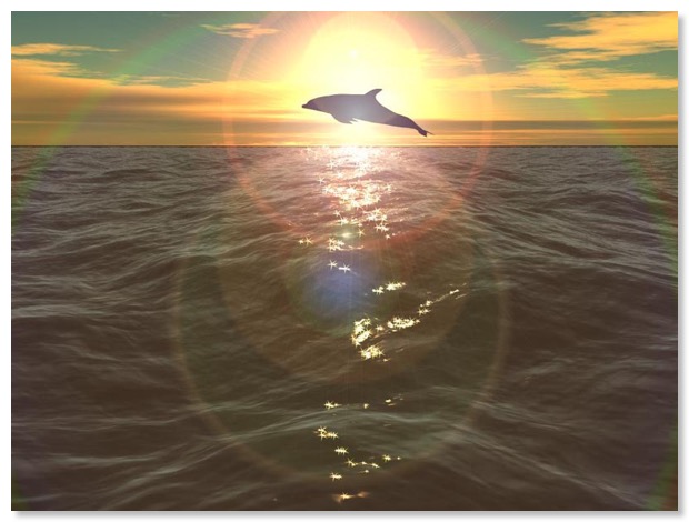 Dauphin_eau